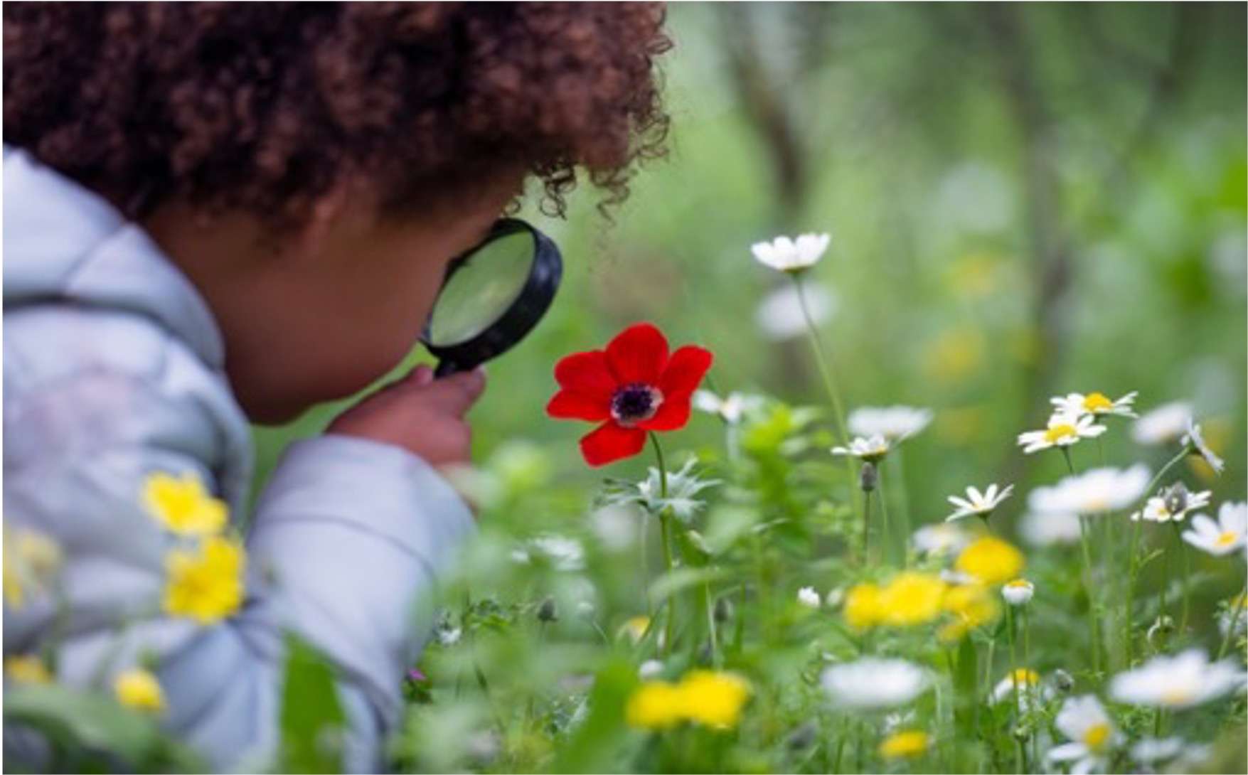 視覚思考タイプとは｜ギフテッドの子どもの認知特性を理解する