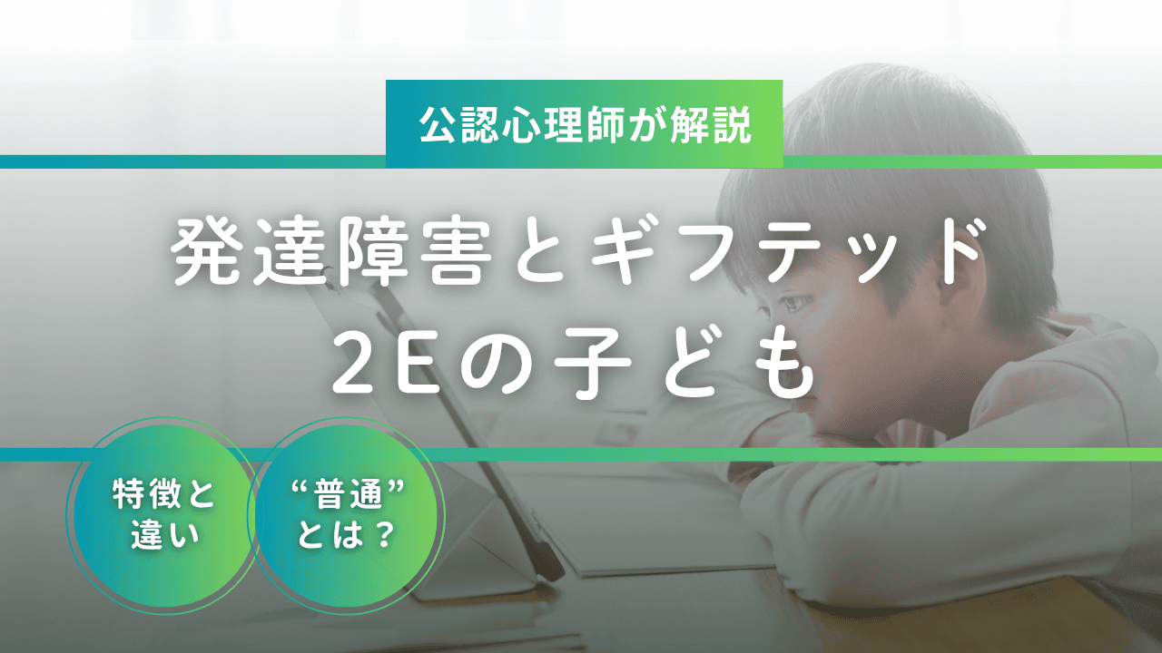 【公認心理師が解説】発達障害とギフテッド『2E』の子どもの子育て：特徴と違いとは